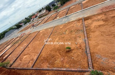 BÁN ĐẤT VỊ TRÍ SIÊU ĐẸP GIÁ F0 TẠI TAM NÔNG PHÚ THỌ TỪ 8TR/m2